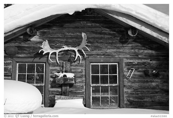 Log cabin facade with antlers. Wiseman, Alaska, USA (black and white)