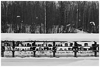 Mailboxes. Alaska, USA (black and white)