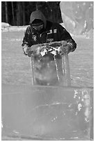 Ice carver lifting ice block. Fairbanks, Alaska, USA (black and white)