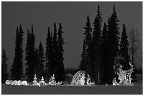 George Horner Ice Park at dusk, 2012 World Ice Art Championships. Fairbanks, Alaska, USA ( black and white)