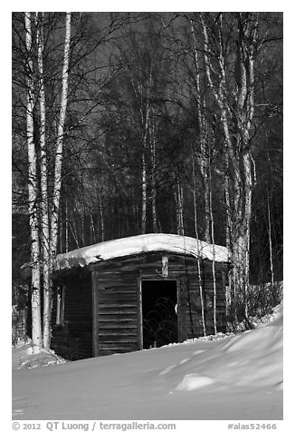 Historic cabin in winter, Chatanika. Alaska, USA