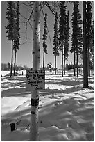 Surroundings of Santa Claus House in winter. North Pole, Alaska, USA ( black and white)