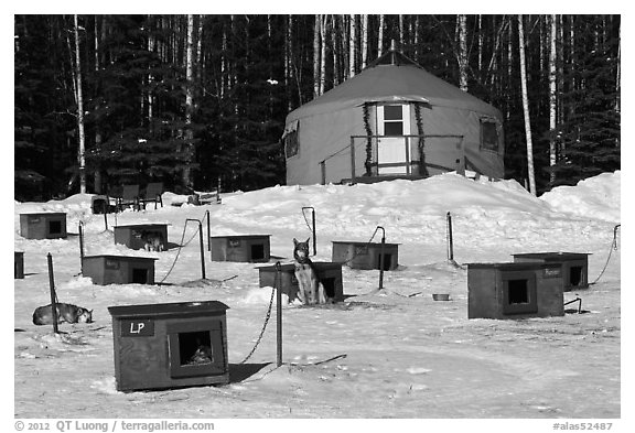 Doghouses and yurt tent. North Pole, Alaska, USA