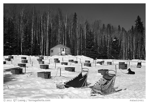 Sleds and kennel at mushing camp. North Pole, Alaska, USA
