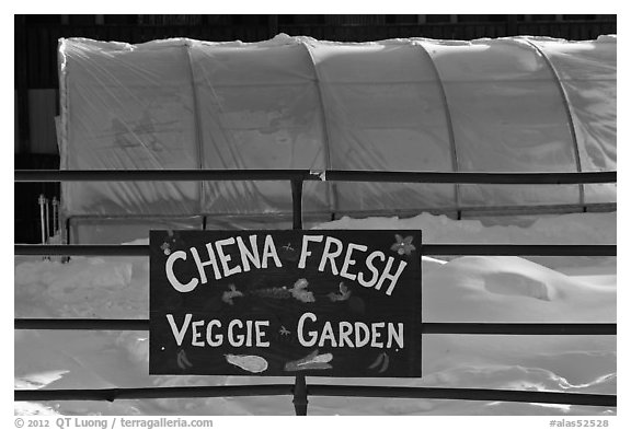 Greehouse used for vegetable production. Chena Hot Springs, Alaska, USA
