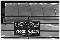 Greehouse used for vegetable production. Chena Hot Springs, Alaska, USA (black and white)