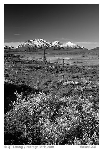 Tundra in fall colors and snow covered peaks. Alaska, USA (black and white)