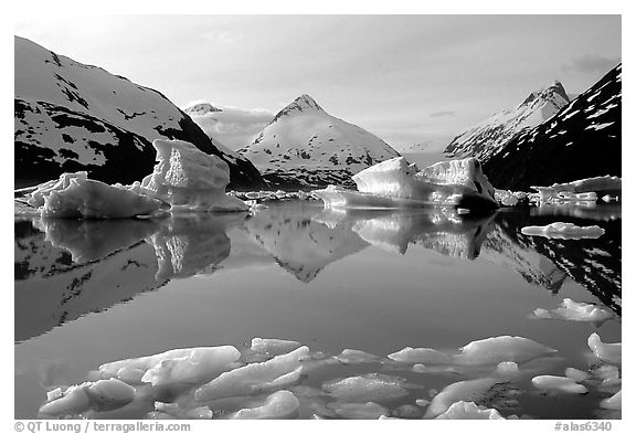 Portage Lake with icebergs. Alaska, USA (black and white)