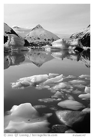 Floating ice in Portage Lake with mountain reflections. Alaska, USA