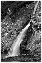 Waterfall and Seabirds. Prince William Sound, Alaska, USA ( black and white)