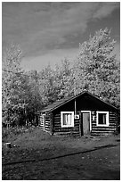 Log cabin and trees in fall color. Alaska, USA (black and white)
