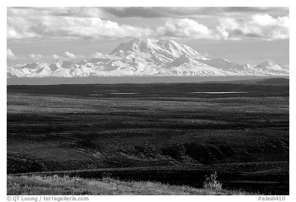 Wrangell Range. Alaska, USA