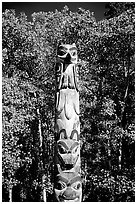 Totem pole, University of Alaska. Fairbanks, Alaska, USA ( black and white)