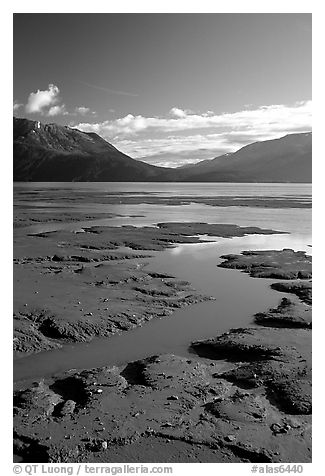 Mud flats, Turnagain Arm. Alaska, USA (black and white)