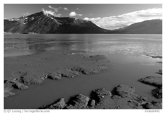 Mud flats, Turnagain Arm. Alaska, USA (black and white)
