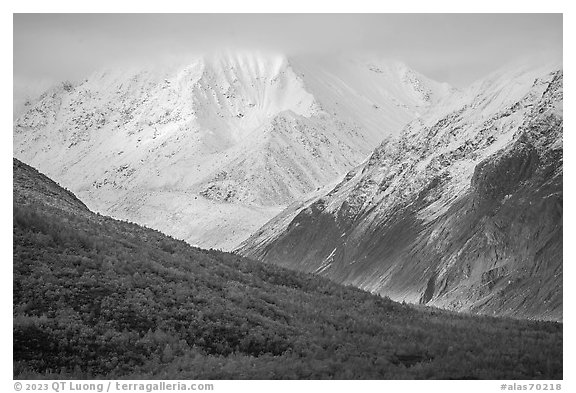 Clearwater Mountains in autumn. Alaska, USA (black and white)