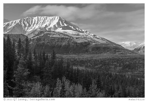 Bivouac Peak and Delta River valley. Alaska, USA (black and white)