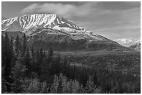 Bivouac Peak and Delta River valley. Alaska, USA ( black and white)