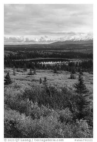 Tundra and Granite Mountain in autumn, Hayes Range. Alaska, USA (black and white)