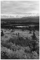 Tundra and Granite Mountain in autumn, Hayes Range. Alaska, USA ( black and white)