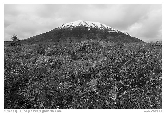 Donnelly Dome in autumn. Alaska, USA (black and white)