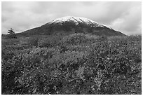 Donnelly Dome in autumn. Alaska, USA ( black and white)