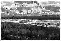 Tanana River from Alaska Range Viewpoint. Alaska, USA ( black and white)