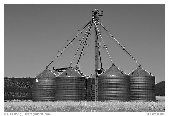 Agricultural silos. California, USA