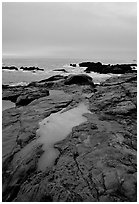Tidal pools, sunset, Weston Beach. Point Lobos State Preserve, California, USA (black and white)