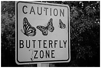 Monarch Butterfly sign. Pacific Grove, California, USA ( black and white)