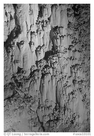 Rare cave formations, Mitchell caverns. Mojave National Preserve, California, USA (black and white)