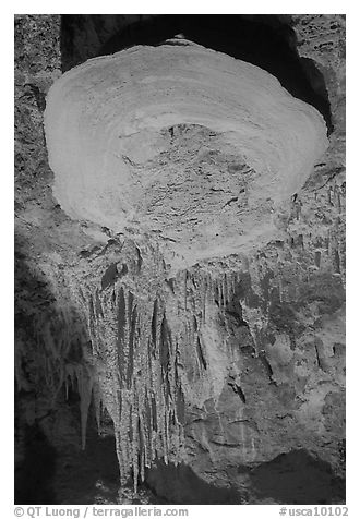 Rare parachute cave formations, Mitchell caverns. Mojave National Preserve, California, USA (black and white)