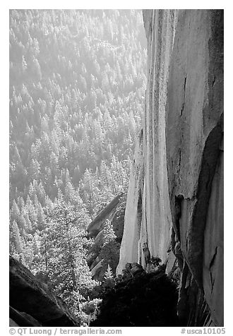 Rock wall and forest, the Needles. Giant Sequoia National Monument, Sequoia National Forest, California, USA (black and white)