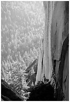 Rock wall and forest, the Needles,  Giant Sequoia National Monument. California, USA (black and white)