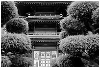 Pagoda in Japanese Garden. San Francisco, California, USA ( black and white)