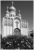 Russian Orthodox Cathedral with a foreground of flowers. San Francisco, California, USA (black and white)