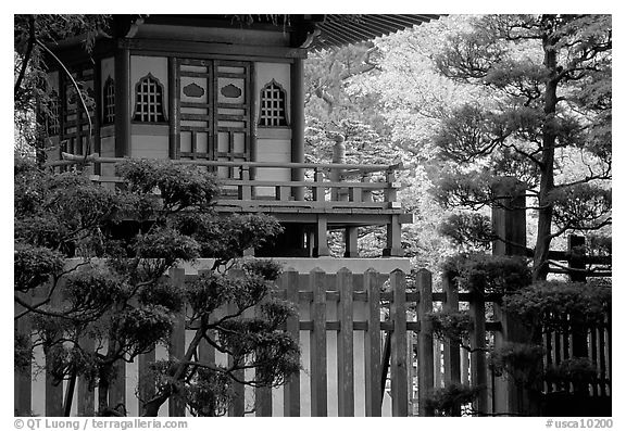 Pagoda in Japanese Garden. San Francisco, California, USA (black and white)