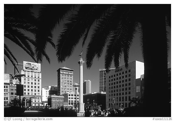 Union square framed by palm trees, afternoon. San Francisco, California, USA (black and white)
