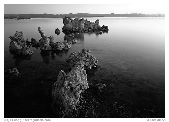 Tufa rock on south shore at sunrise. California, USA (black and white)
