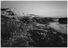 Mussels and Cliffs, Sculptured Beach, sunset. Point Reyes National Seashore, California, USA (black and white)