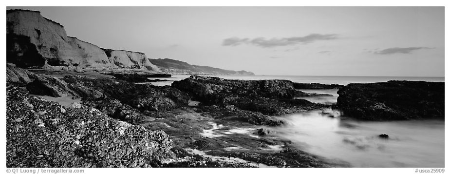 Seashore and cliffs. Point Reyes National Seashore, California, USA (black and white)