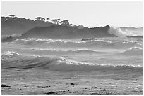 Waves, late afternoon, seventeen-mile drive. Pebble Beach, California, USA ( black and white)