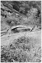 Stone bridge, Alum Rock Park. San Jose, California, USA (black and white)