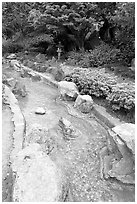 Stream, Japanese Friendship Garden. San Jose, California, USA ( black and white)