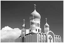 Russian Cathedral Holy Virgin. San Francisco, California, USA ( black and white)