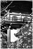 Entrance of Japanese Garden, Golden Gate Park. San Francisco, California, USA ( black and white)