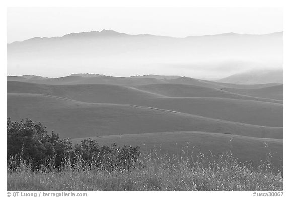 Rolling Hills  seen from Laguna Seca, Fort Ord National Monument. California, USA
