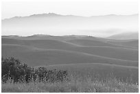 Rolling Hills  seen from Laguna Seca, Fort Ord National Monument. California, USA (black and white)