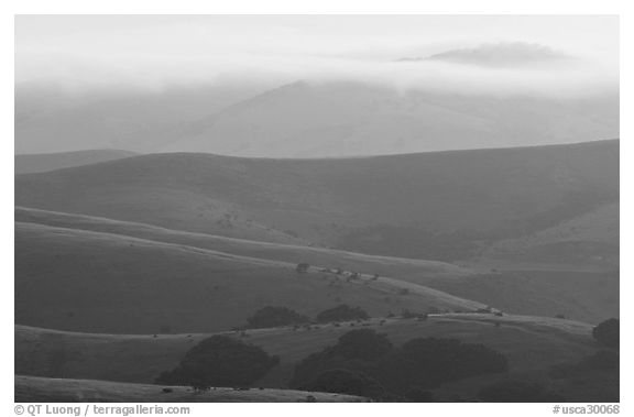 Rolling Hills and fog, sunrise. California, USA (black and white)
