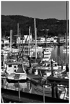 Boats and Fisherman's Wharf, afternoon. Monterey, California, USA (black and white)